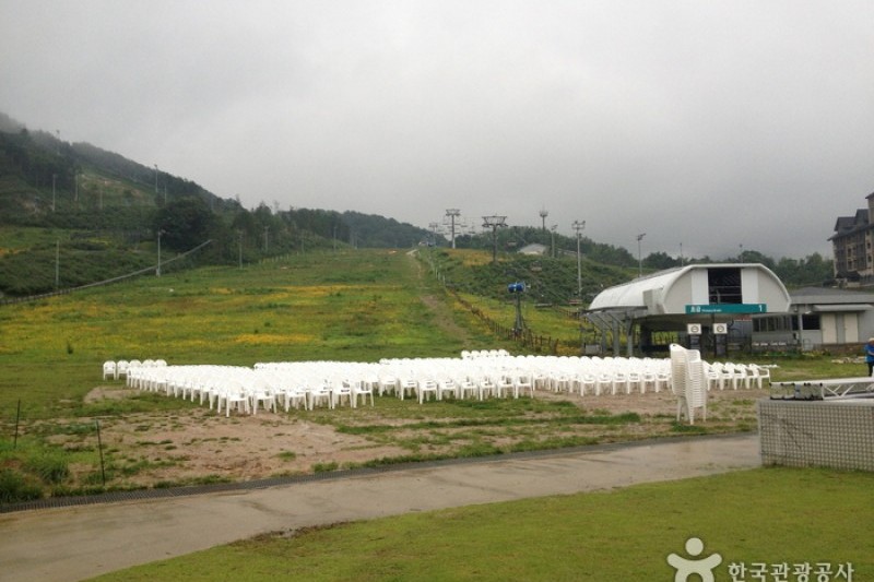 Holiday Inn Alpensia平昌渡假村
