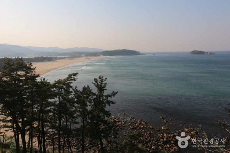 花津浦