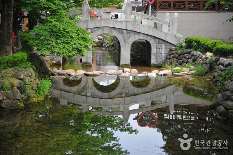 黃池蓮塘 (1/10)