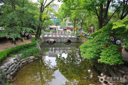 黃池蓮塘
