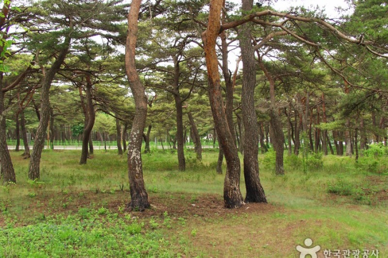 洛山道立公園