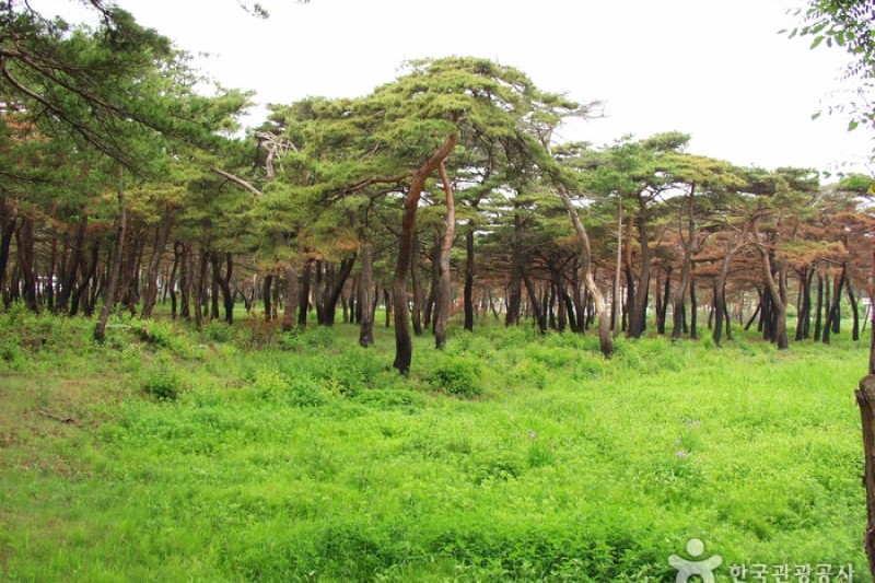 洛山道立公園
