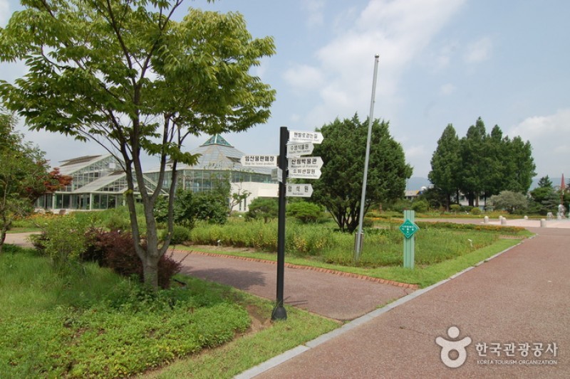 江原道立花木園 (4/27)
