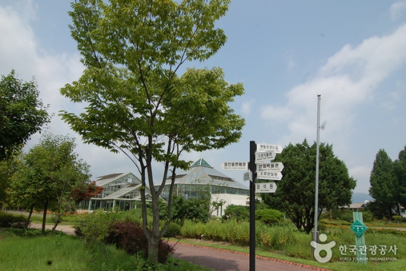 江原道立花木園 (5/27)