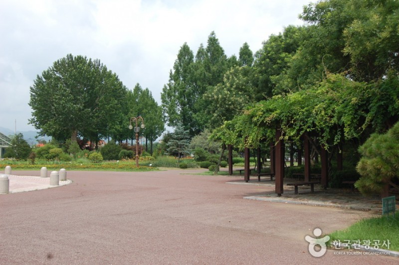 江原道立花木園 (6/27)