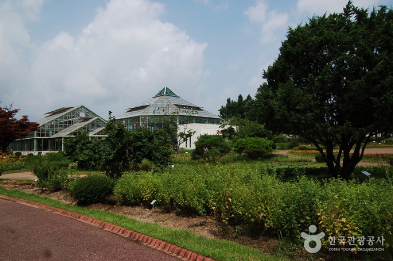 江原道立花木園 (7/27)