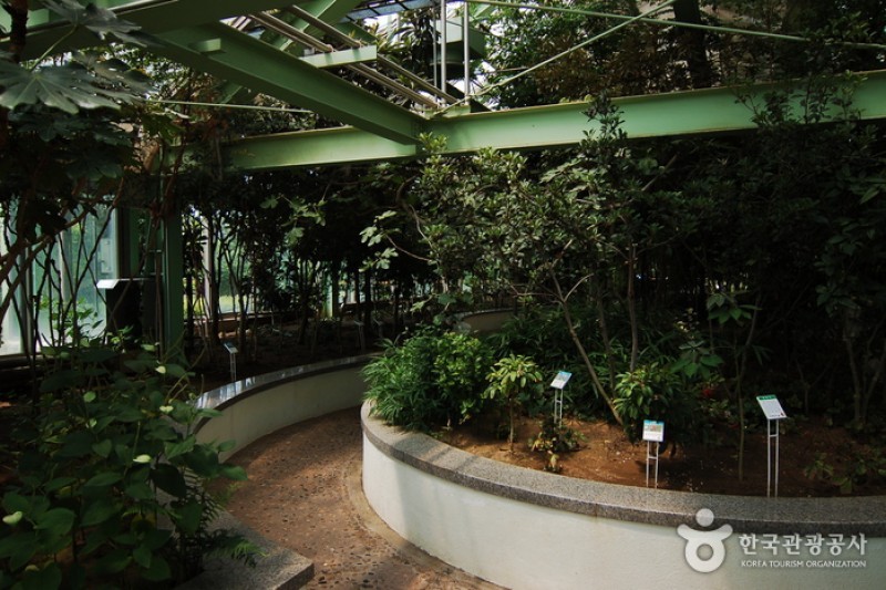 江原道立花木園 (8/27)