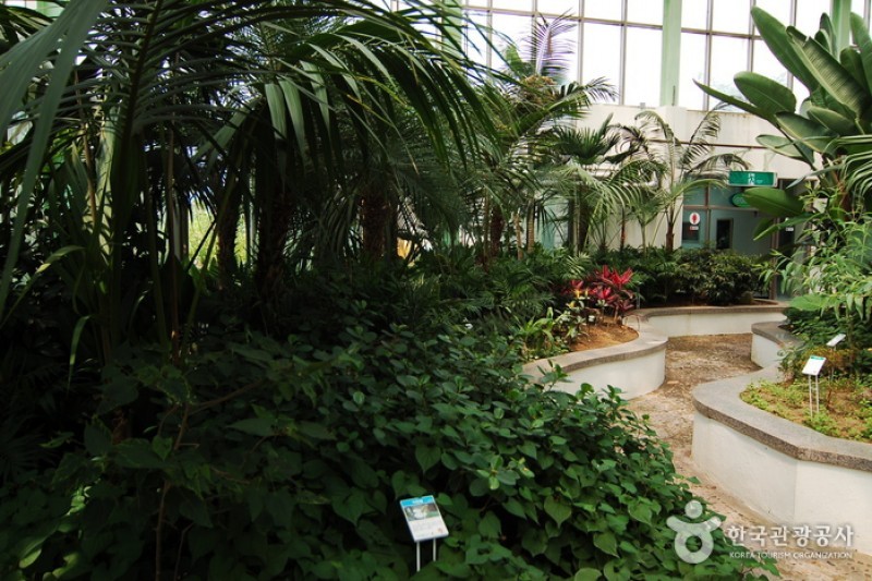 江原道立花木園 (9/27)