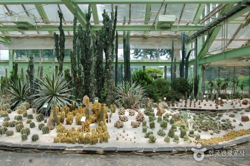 江原道立花木園 (11/27)