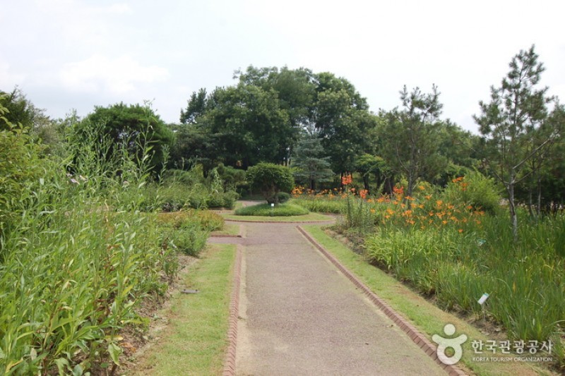 江原道立花木園 (13/27)