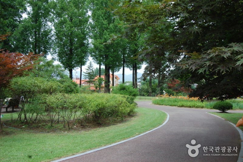江原道立花木園 (17/27)