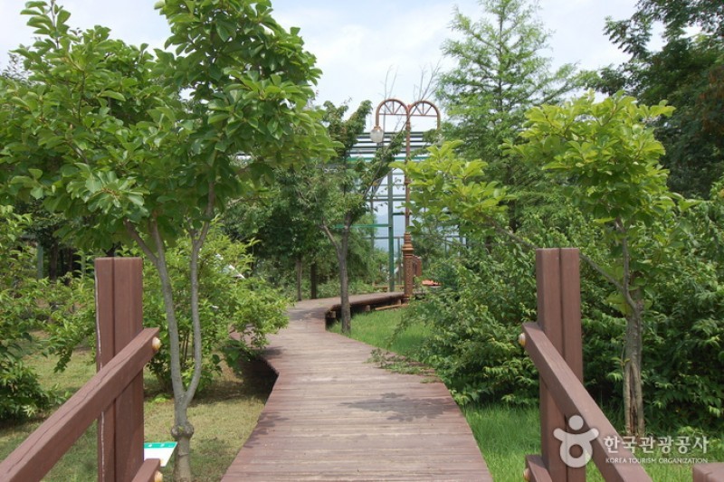 江原道立花木園 (18/27)