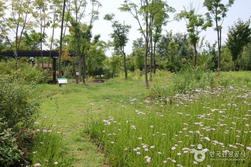 江原道立花木園 (19/27)