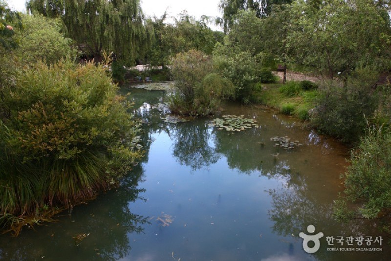 江原道立花木園 (26/27)