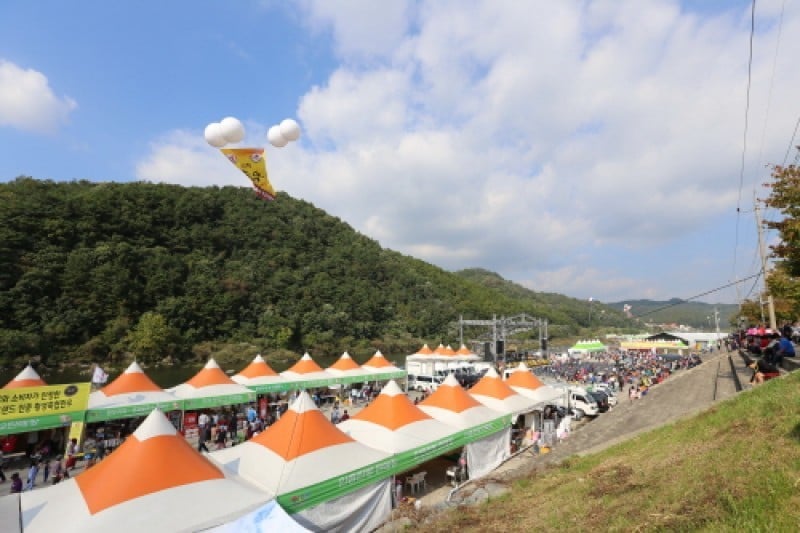 橫城韓牛節 (7/7)
