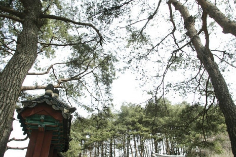 平昌義野地希望村