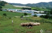 平昌義野地希望村