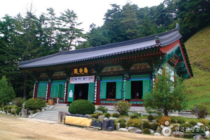 平昌義野地希望村