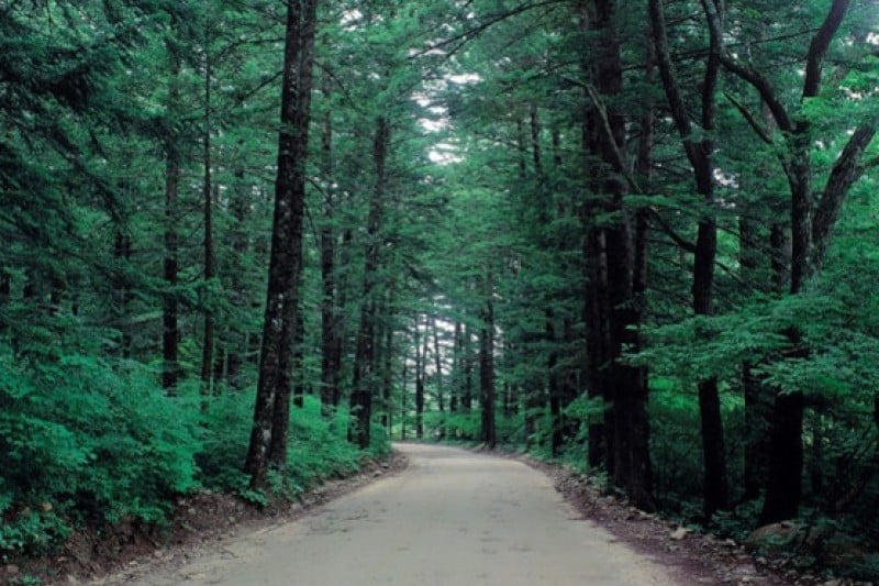 平昌義野地希望村