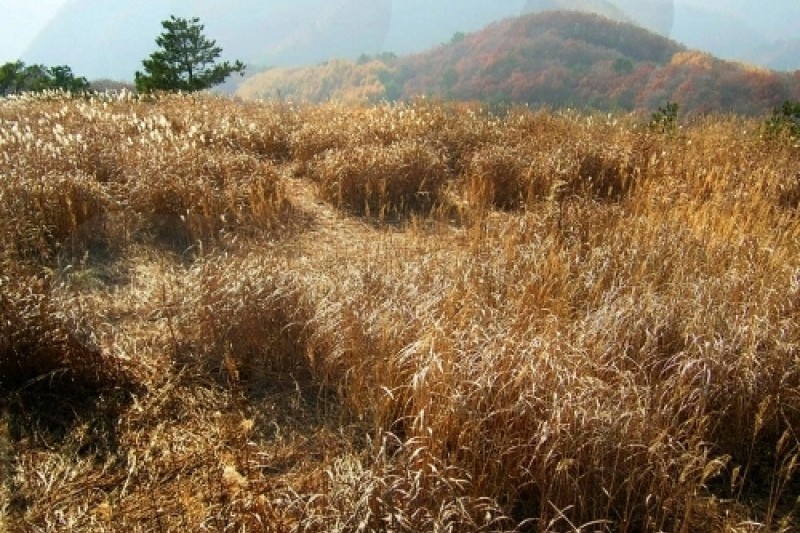 Min-dung山 (2/5)