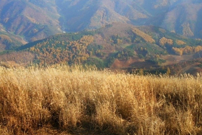 Min-dung山 (4/5)
