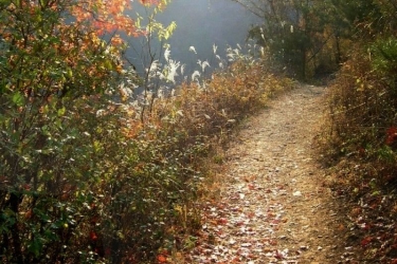 Min-dung山 (5/5)