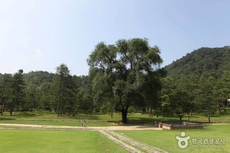 寧越莊陵 [UNESCO世界文化遺產]