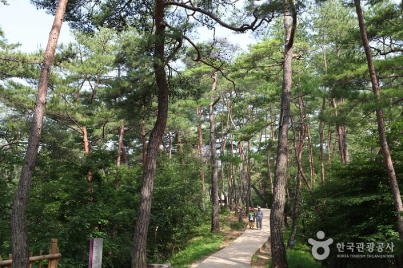 寧越莊陵 [UNESCO世界文化遺產]