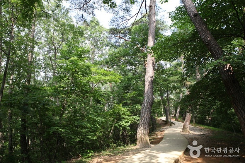 寧越莊陵 [UNESCO世界文化遺產]