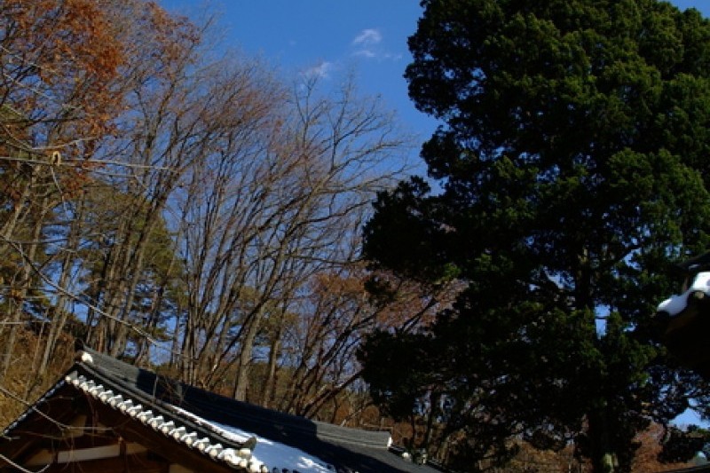 寧越莊陵 [UNESCO世界文化遺產]