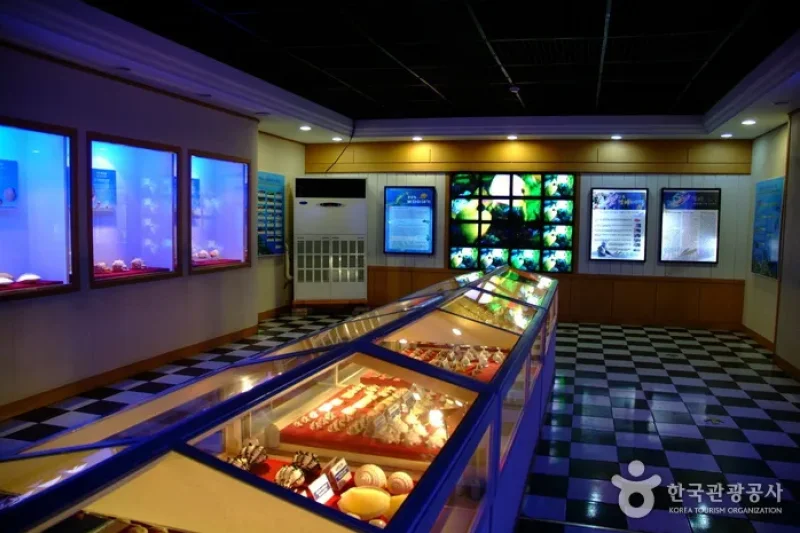 花津浦海洋博物館