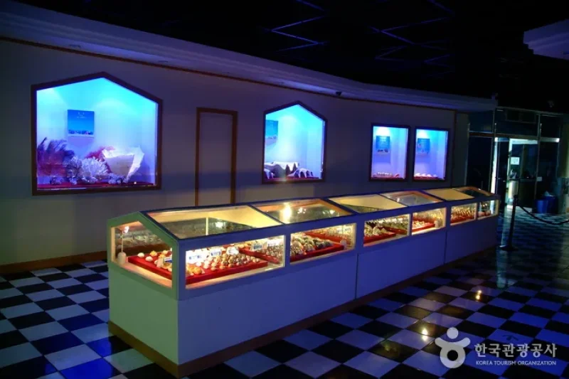 花津浦海洋博物館