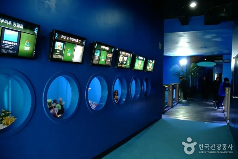 花津浦海洋博物館
