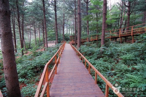 青太山自然休養林