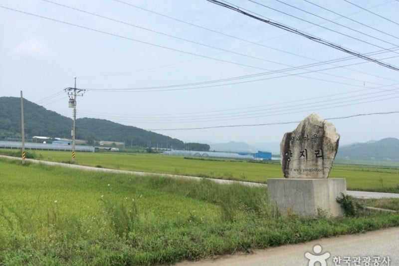 鐵原候鳥探訪觀光 (1/3)