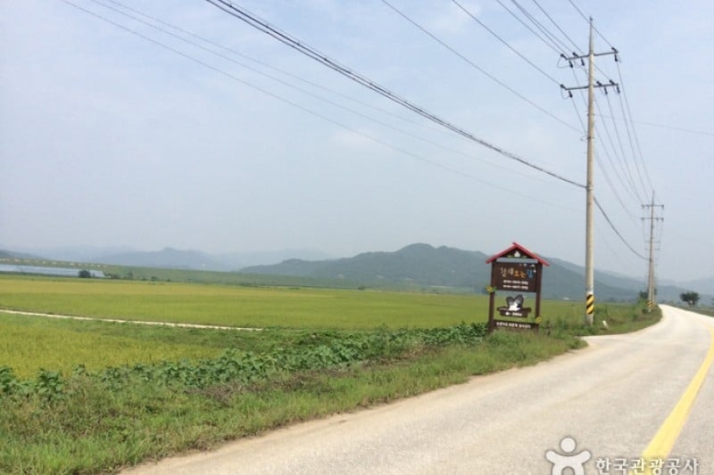 鐵原候鳥探訪觀光 (2/3)