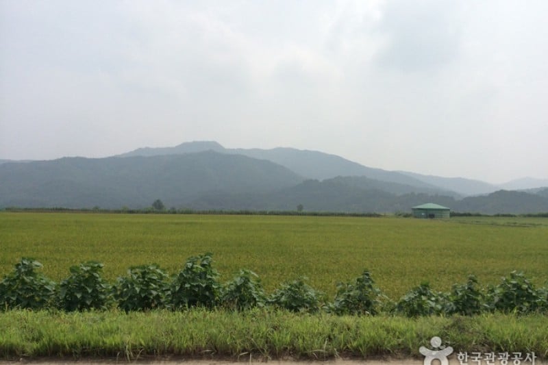 鐵原候鳥探訪觀光 (3/3)