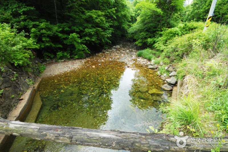 三峰自然休養林  (9/11)