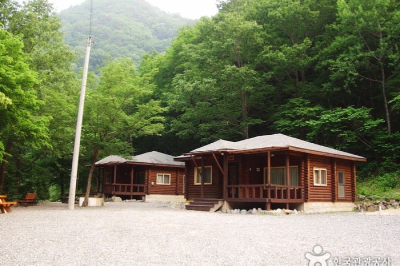 米川谷自然休養林  (2/12)