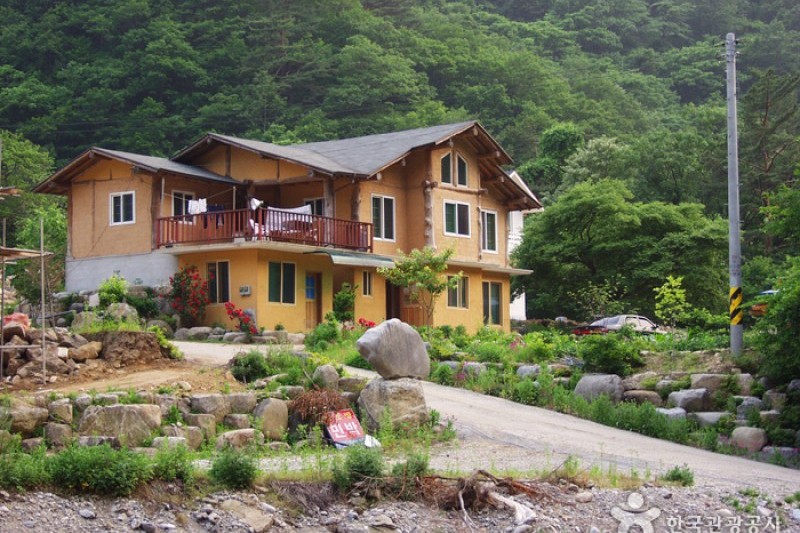 米川谷自然休養林  (5/12)