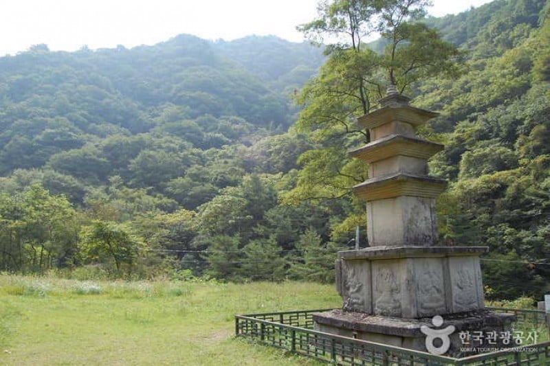 米川谷自然休養林  (7/12)