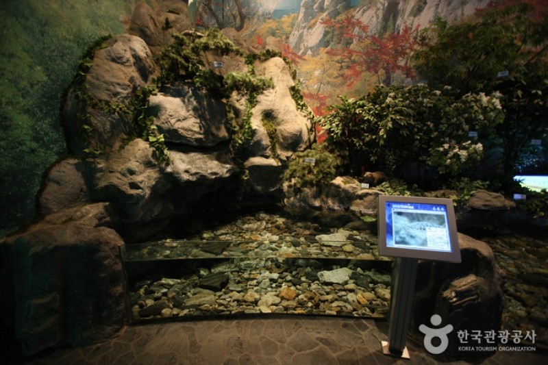 和平水庫水文化館  (5/20)