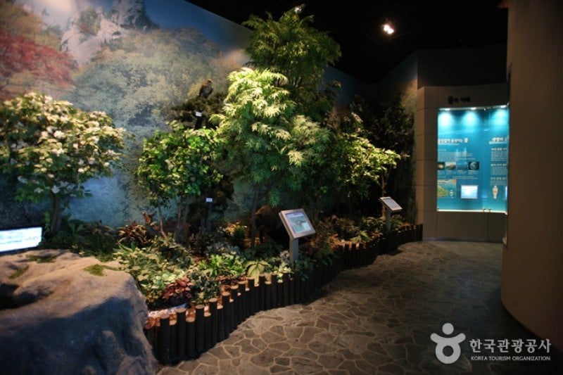 和平水庫水文化館  (6/20)