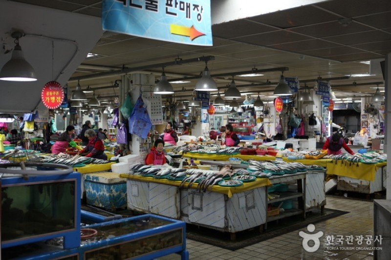 江陵注文津水產市場