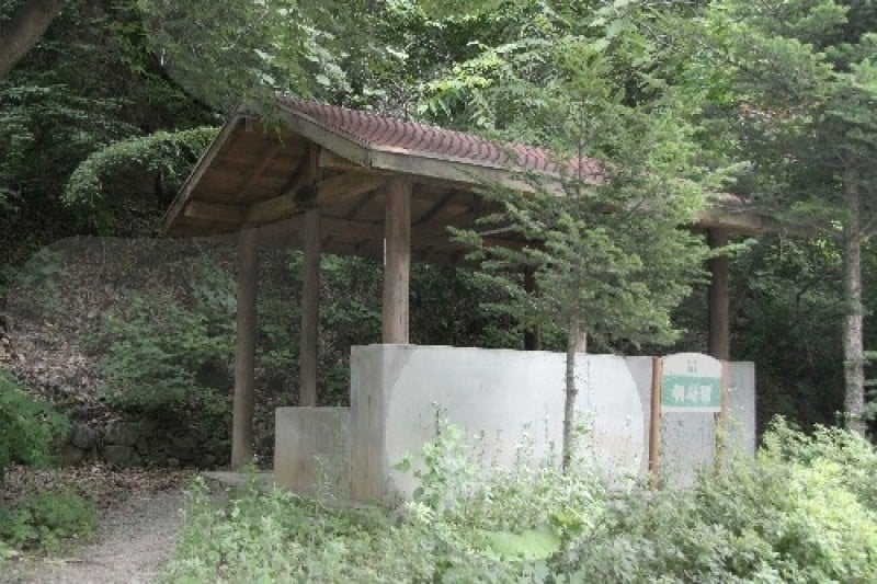 Jipdari谷自然休養林  (10/11)