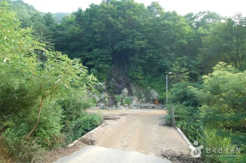 酒泉江自然休養林(주천강자연휴양림) (17/35)