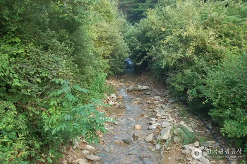 酒泉江自然休養林(주천강자연휴양림) (18/35)