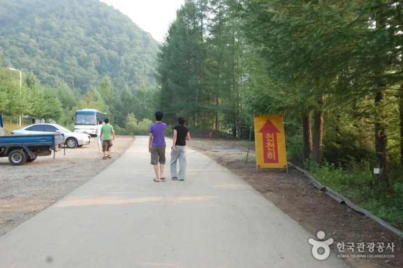 酒泉江自然休養林(주천강자연휴양림) (23/35)