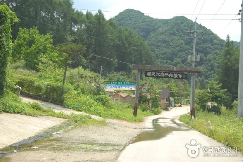 酒泉江自然休養林(주천강자연휴양림) (26/35)