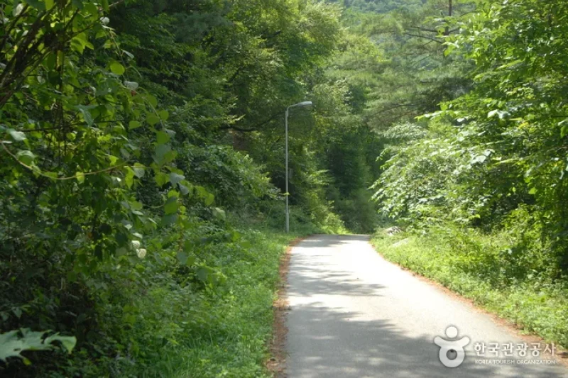 酒泉江自然休養林(주천강자연휴양림) (28/35)